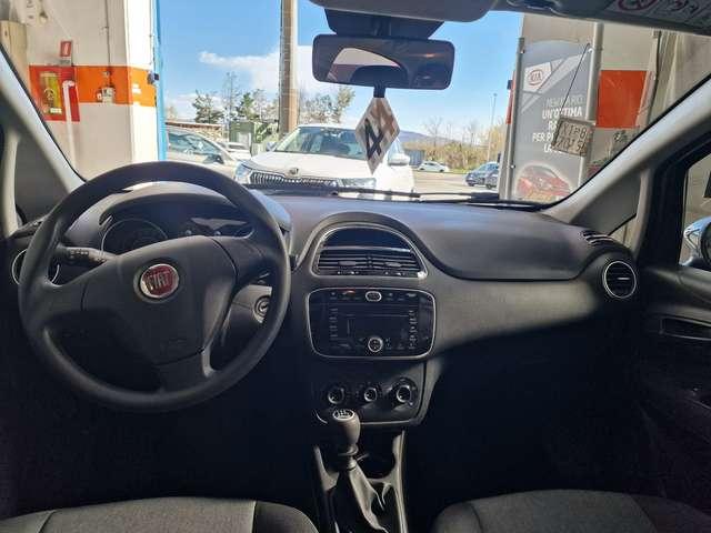 Fiat Punto Punto 5p 1.2 Young