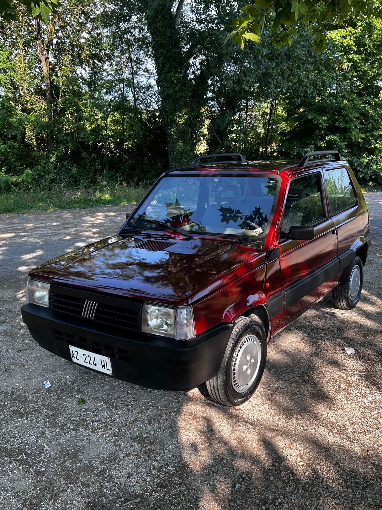 Fiat Panda 1100 i.e. cat Young