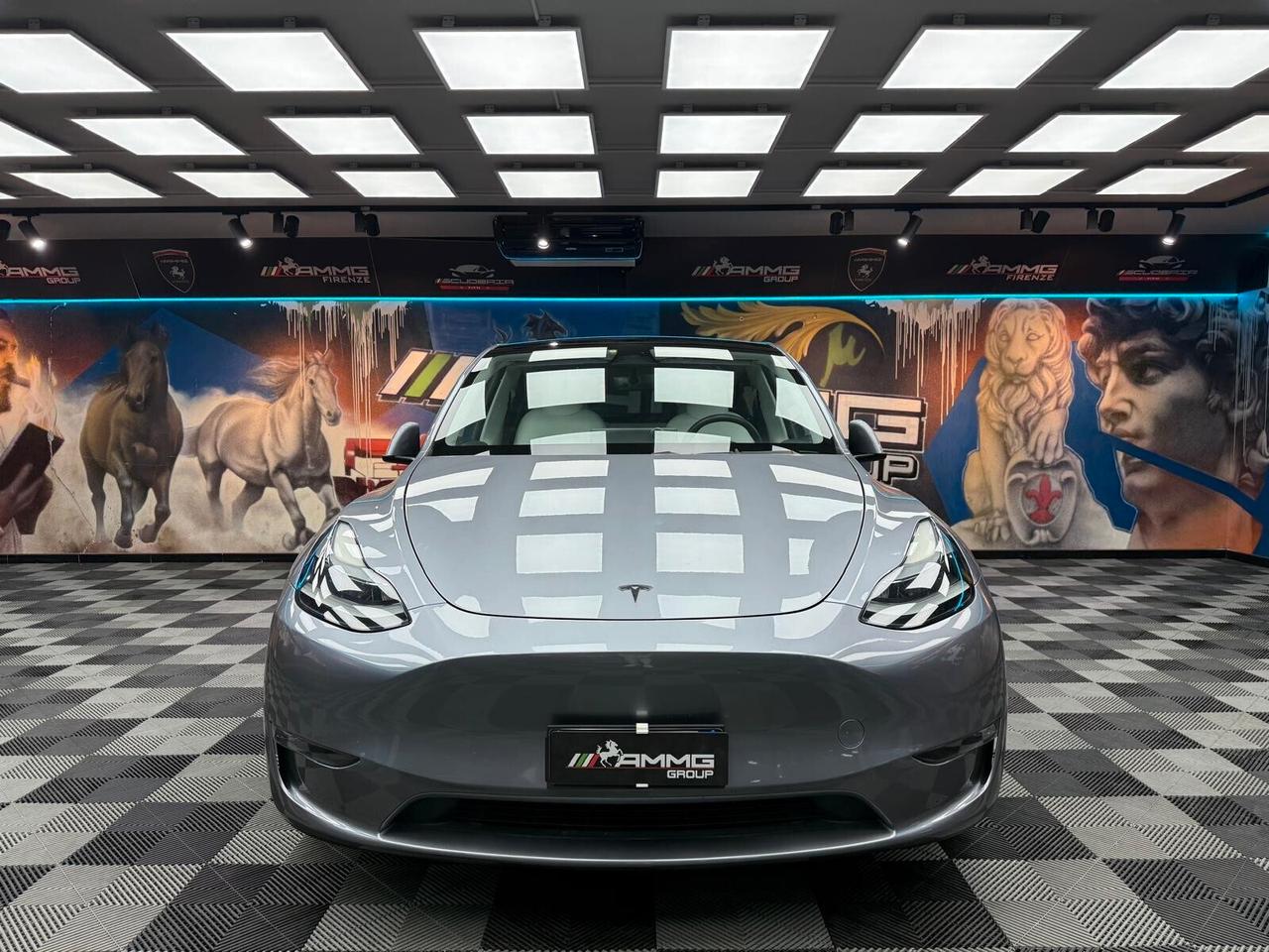 Tesla Model Y AWD PERFORMANCE (000)
