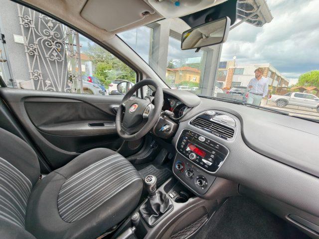 FIAT Punto Evo 1.3 Mjt 75 CV 5 porte Active NEOPATENTATI