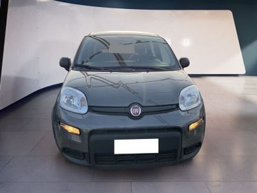 FIAT Panda III 2021 1.0 firefly hybrid s&s 70cv 5p.ti