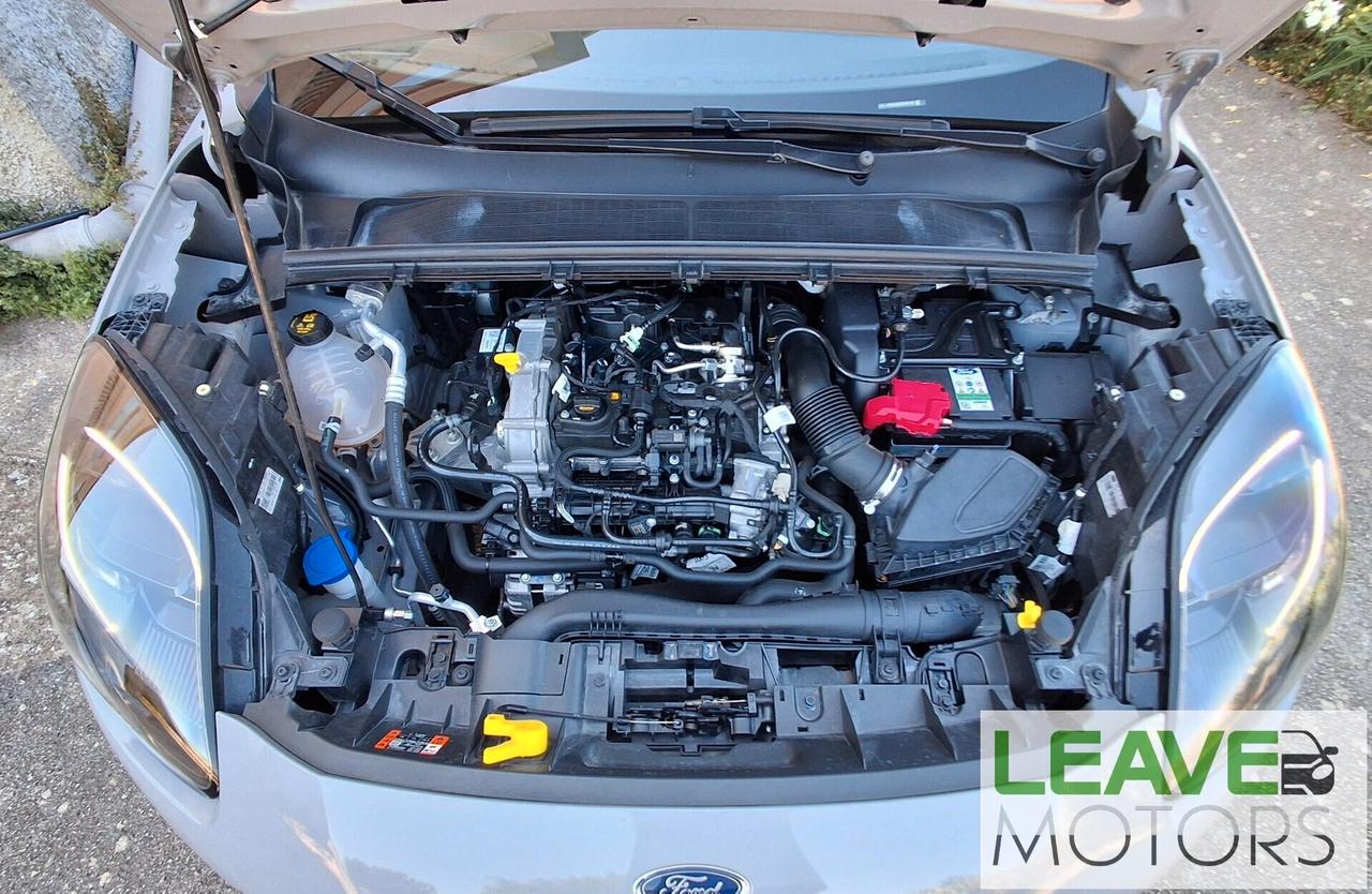 Ford Puma Hybrid 125 CV ST-Line (M1561)