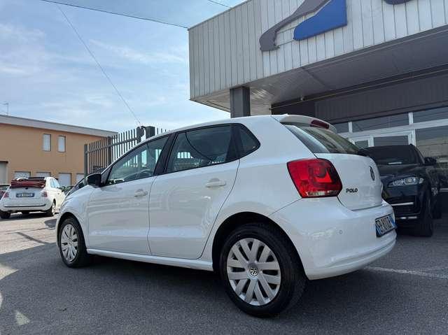 Volkswagen Polo Polo 5p 1.2 tdi NEOPATENTATI