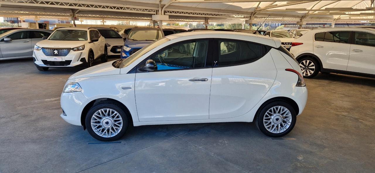 Lancia Ypsilon 1.3 Mjt 95cv 5 porte Platinum