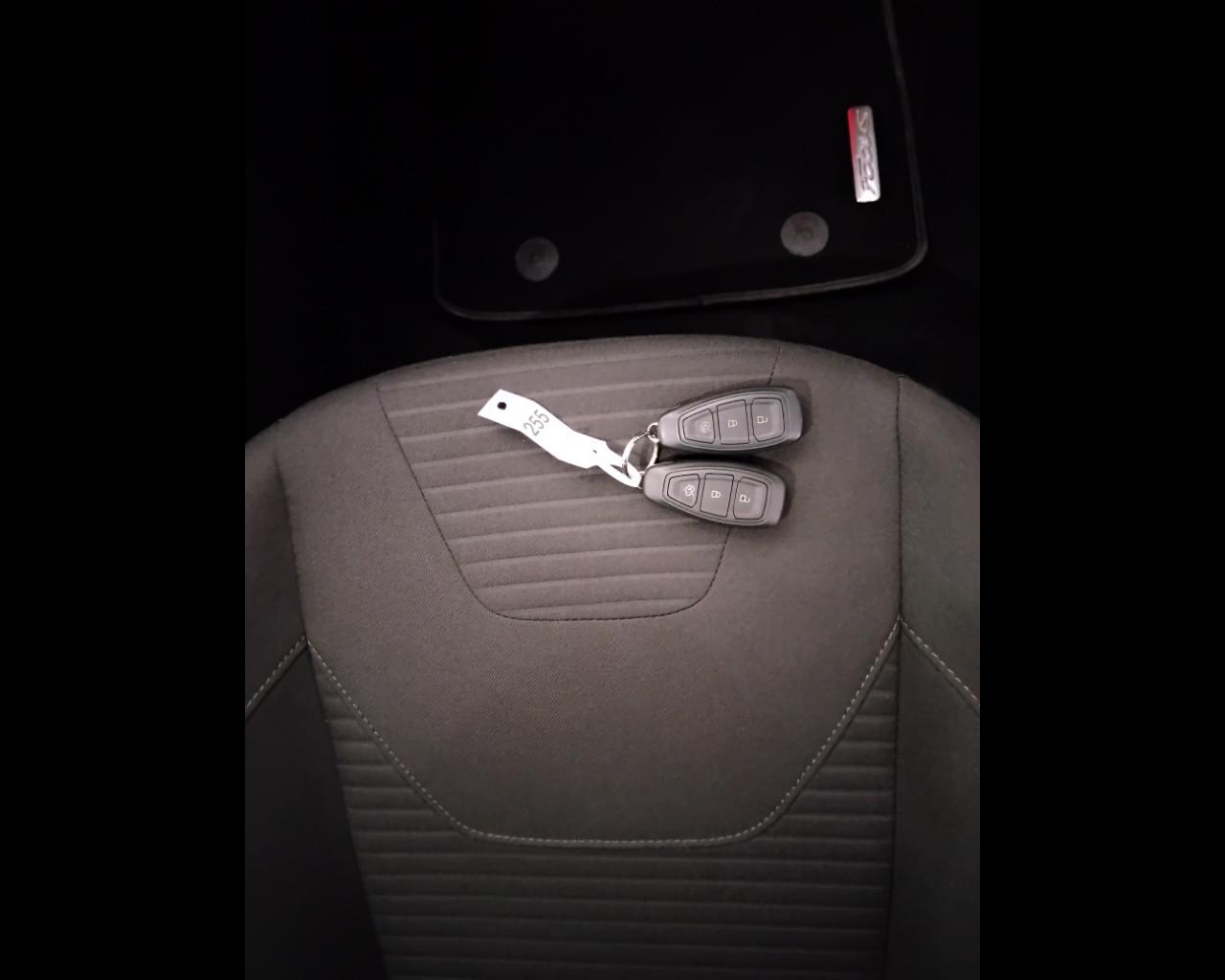 FORD Focus IV 2015 - Focus 5p 1.5 tdci Titanium s&s 120cv