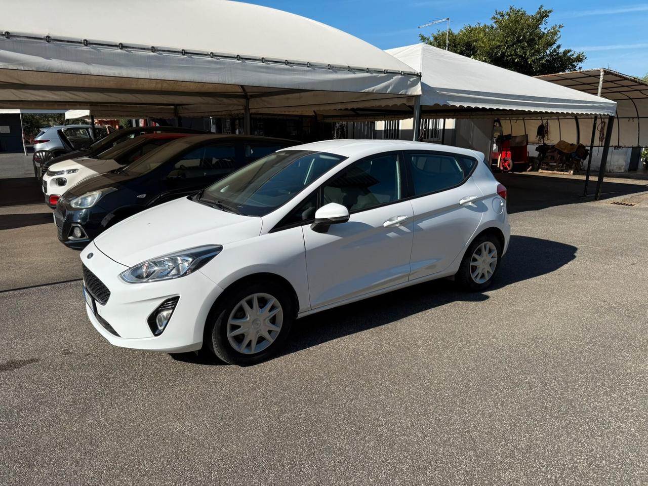 Ford Fiesta 1.5 EcoBlue 5 porte ST-Line
