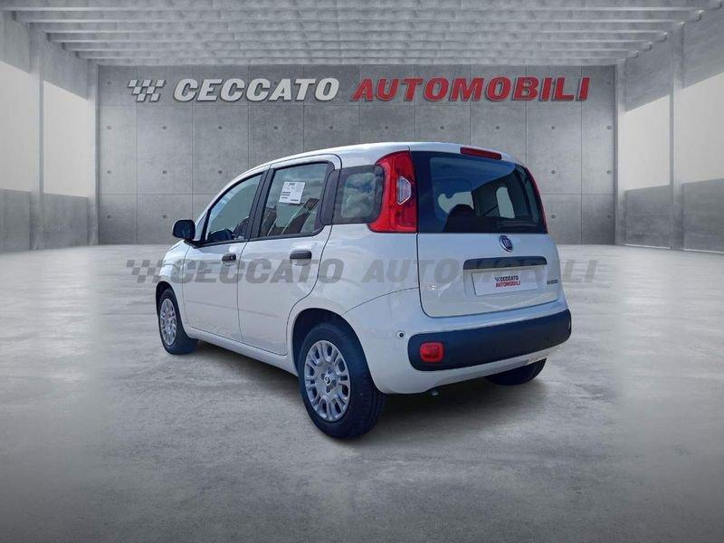 FIAT Panda Panda 1.0 firefly hybrid s&s 70cv