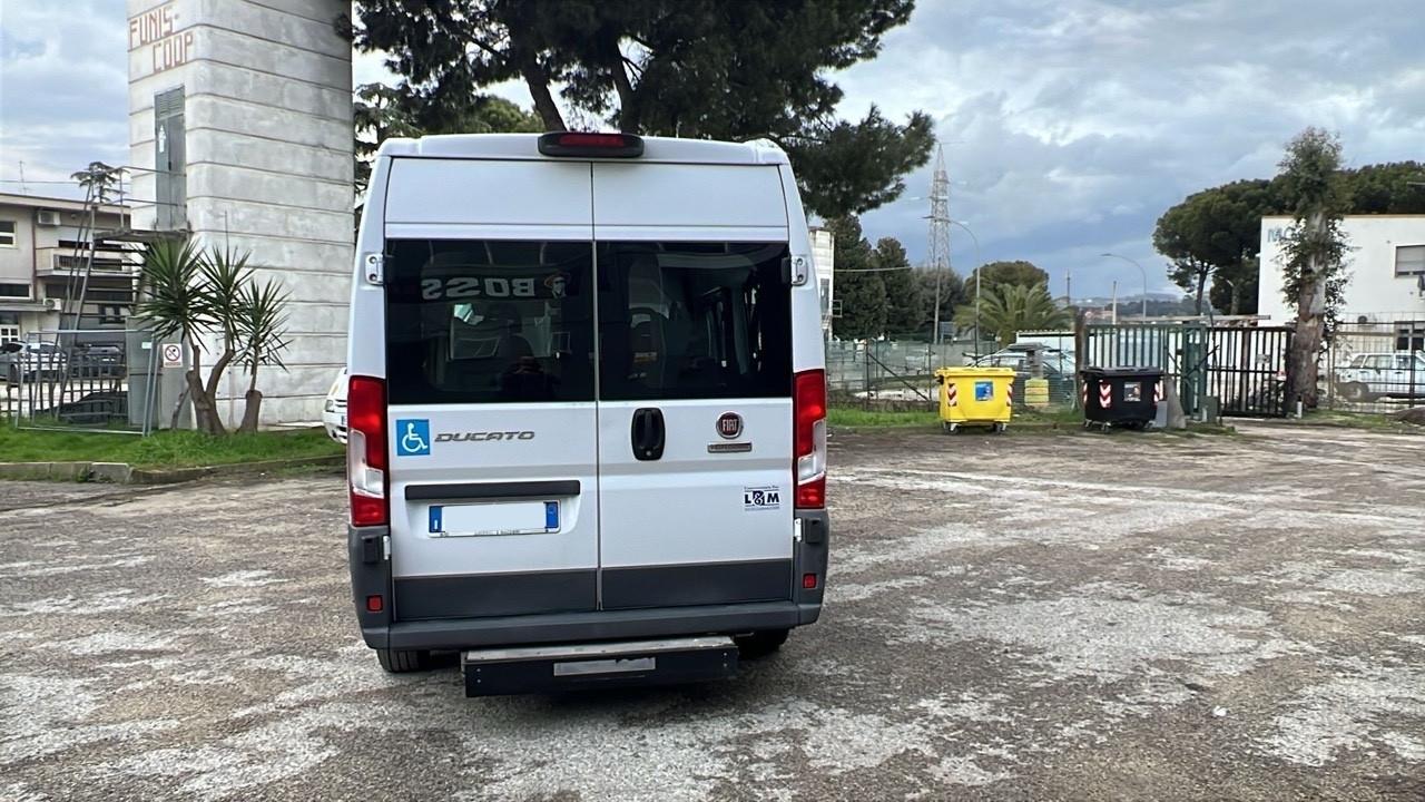 Minibus 9 posti per disabili usato Fiat Ducato 290