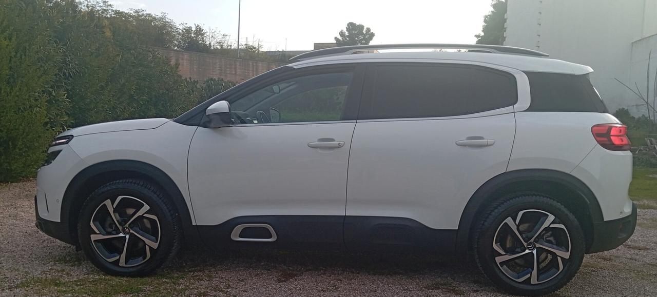 Citroen C5 Aircross C5 Aircross BlueHDi 130 S&S EAT8 Business