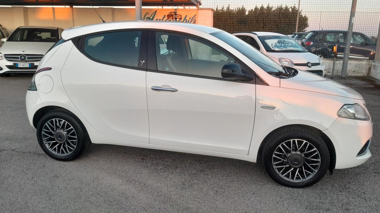 Lancia Ypsilon 1.2 69 CV 5 porte Platinum