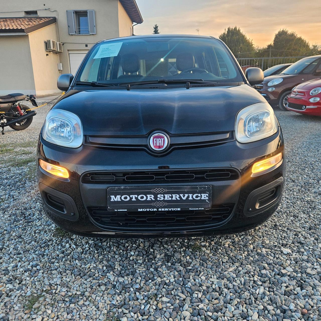 Fiat Panda 1.2 YOUNG PREZZO REALE E FINALE