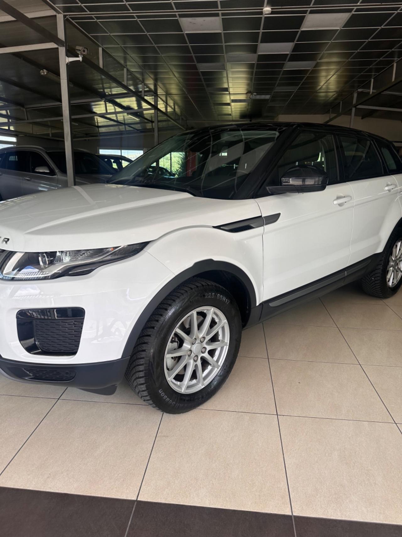 Land Rover Range Rover Evoque Range Rover Evoque 2.0 TD4 150 CV 5p. SE