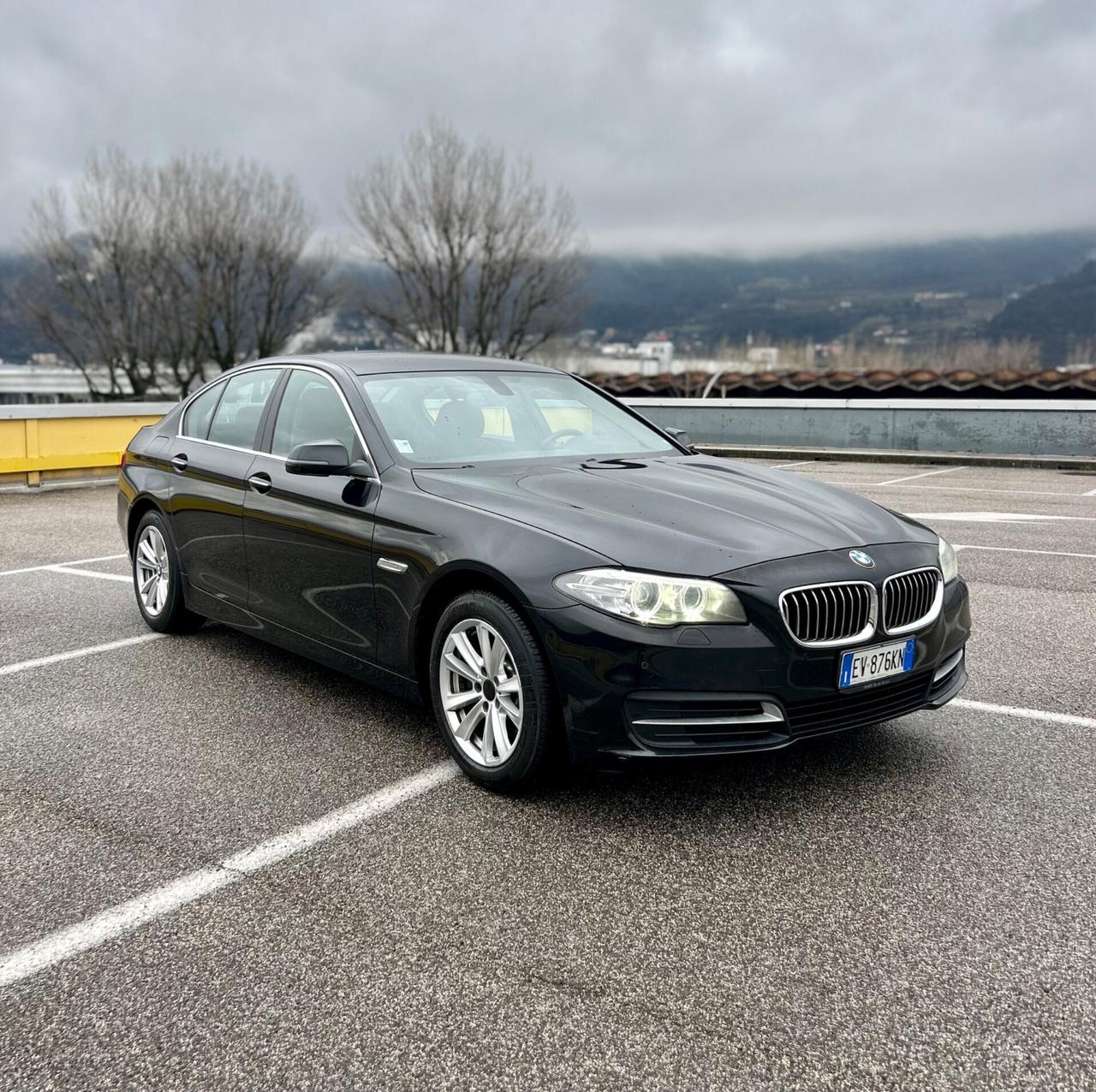 Bmw 520d Luxury 2014 Euro 6B IVA DEDUCIBILE