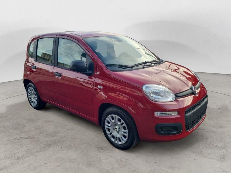 FIAT Panda NEW 1.0 70cv Hybrid Icon