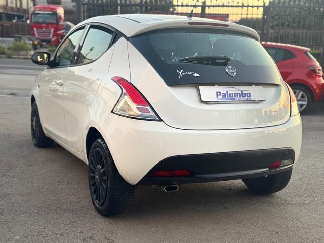 LANCIA Ypsilon 1.3 MJT 16V 95 CV 5 porte S&S Elefantino