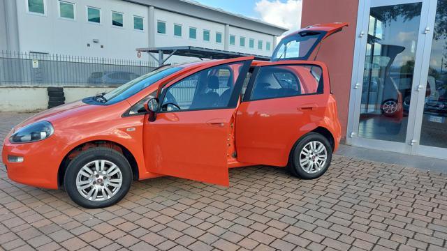 FIAT Punto 1.4 8V 5 porte Natural Power Young