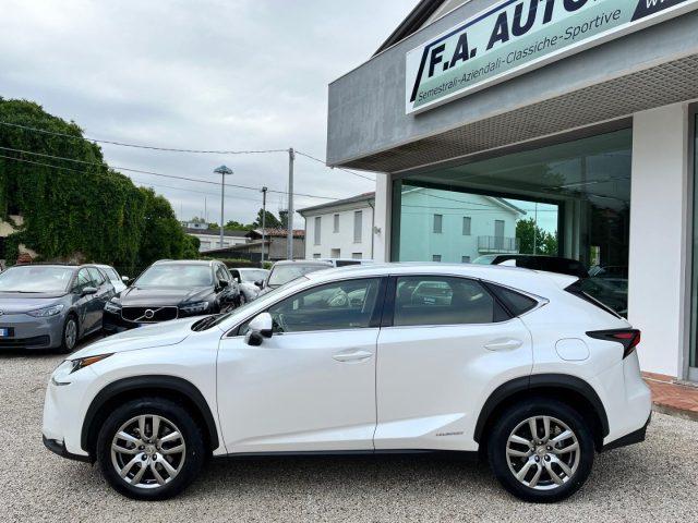 LEXUS NX 300 Hybrid 4WD EXECUTIVE