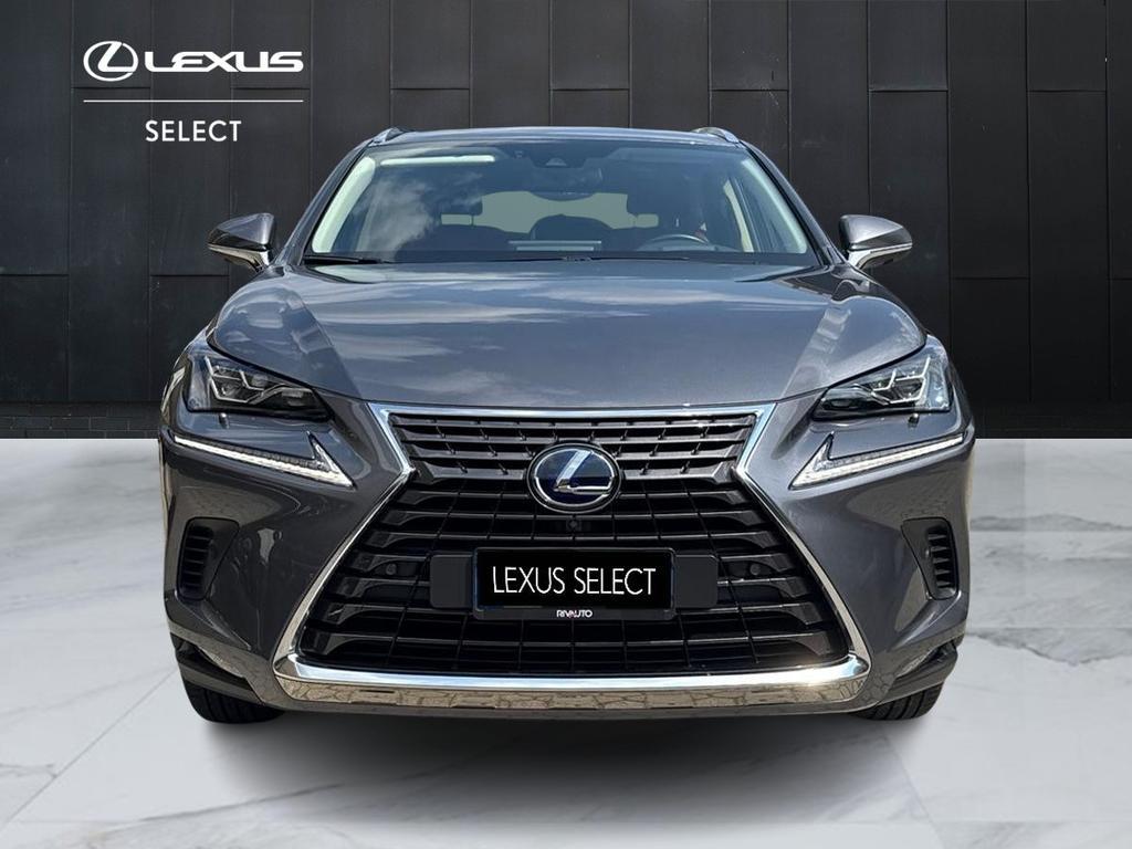 Lexus NX 300 h 2.5 Luxury 4wd cvt