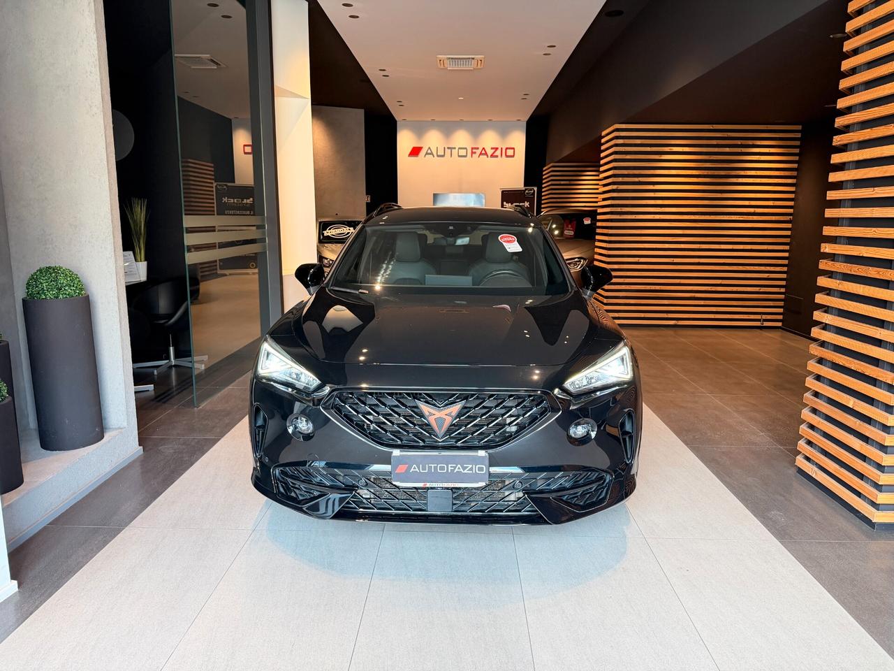 Cupra Formentor 2.0 TDI 4Drive DSG