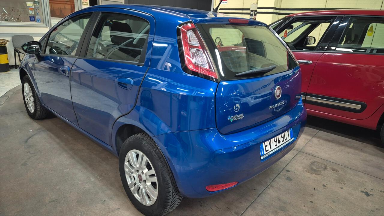 Fiat Punto 1.4 8V 5 porte Natural Power Lounge