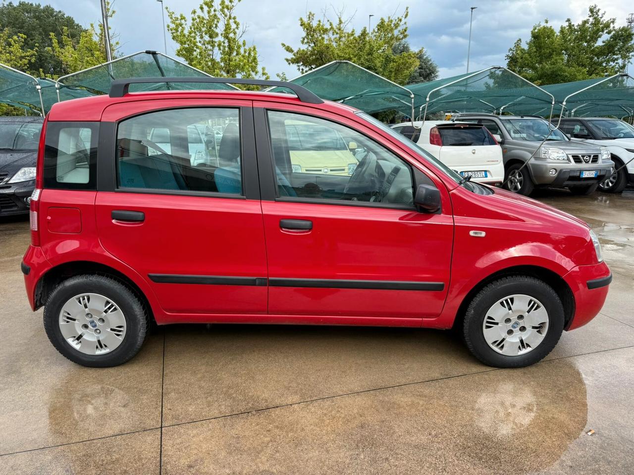 Fiat Panda 1.2 Dynamic clima TAGLIANDATA