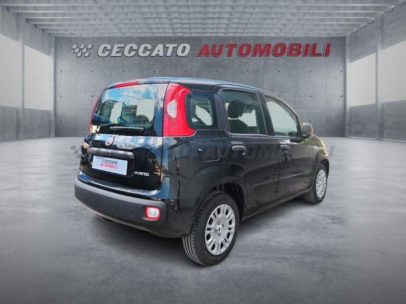 FIAT Panda Panda 1.0 70cv Hybrid Icon