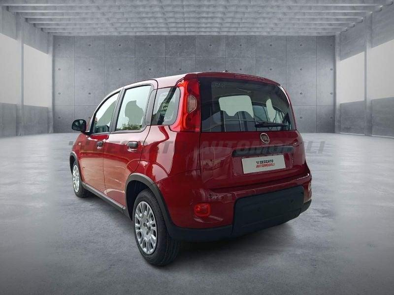 FIAT Panda 1.0 70cv Hybrid Panda