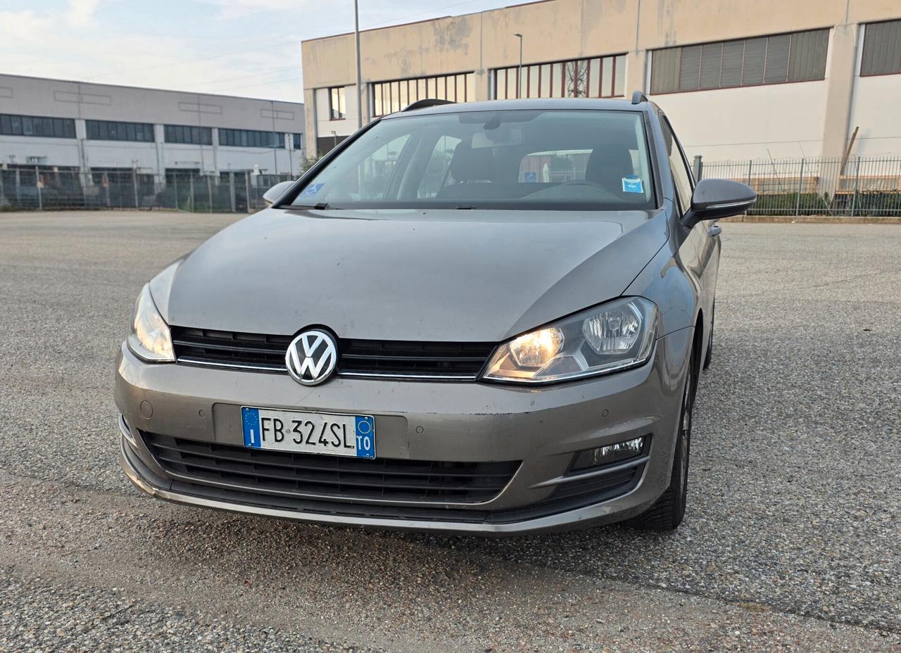 Volkswagen Golf Variant 1.6 TDI 110 CV DSG Highline