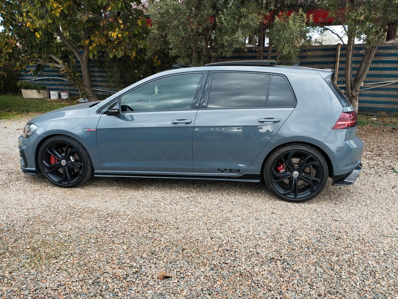 Volkswagen Golf GTI 2.0 TSI TCR DSG 5p. BlueMotion Technology