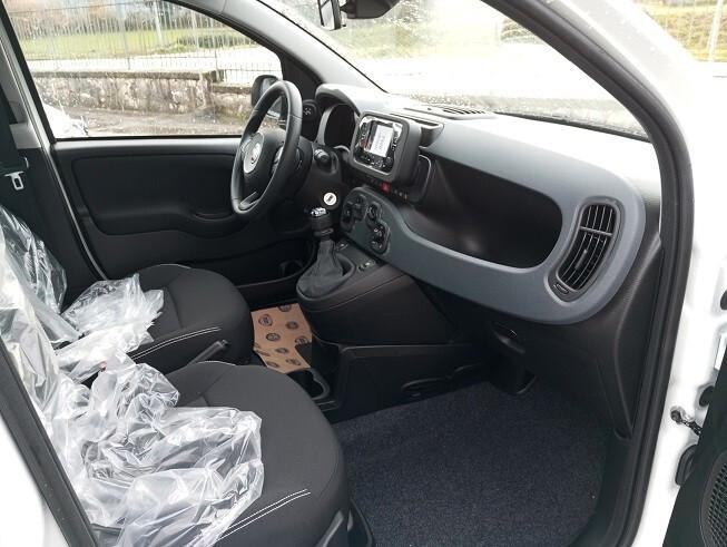 Fiat Panda 1.0 FireFly S&S Hybrid Icon