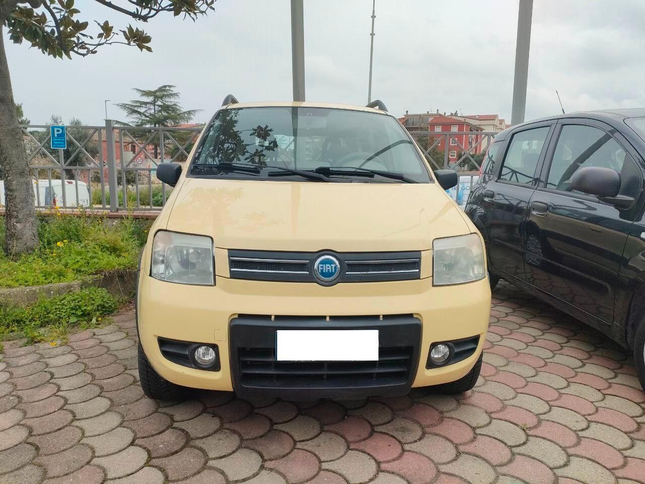 FIAT Panda 2ª serie Panda 1.2 4x4 Climbing