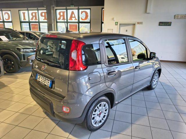 FIAT Panda 1.0 Hybrid City Life NEOPATENTATI