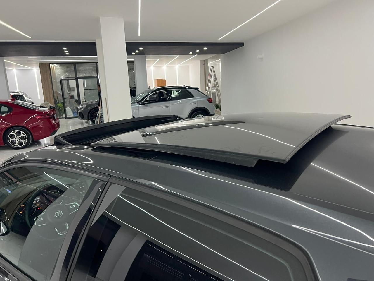 Volkswagen Golf GTI Performance 2.0 TSI 5p. BlueMotion Technology