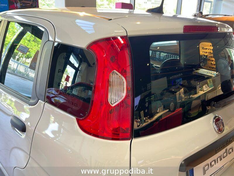 FIAT Panda 1BH 1.0 70cv Hybrid Icon