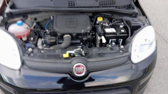 FIAT Panda *PROMO* 1.0 FireFly S&S Hybrid