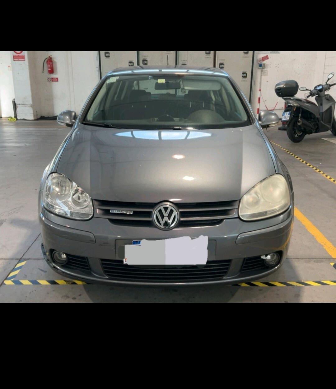 Volkswagen Golf 1.9 TDI DPF 5p. Comfortline 2008