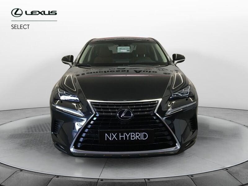 Lexus NX NX Hybrid 4WD Luxury
