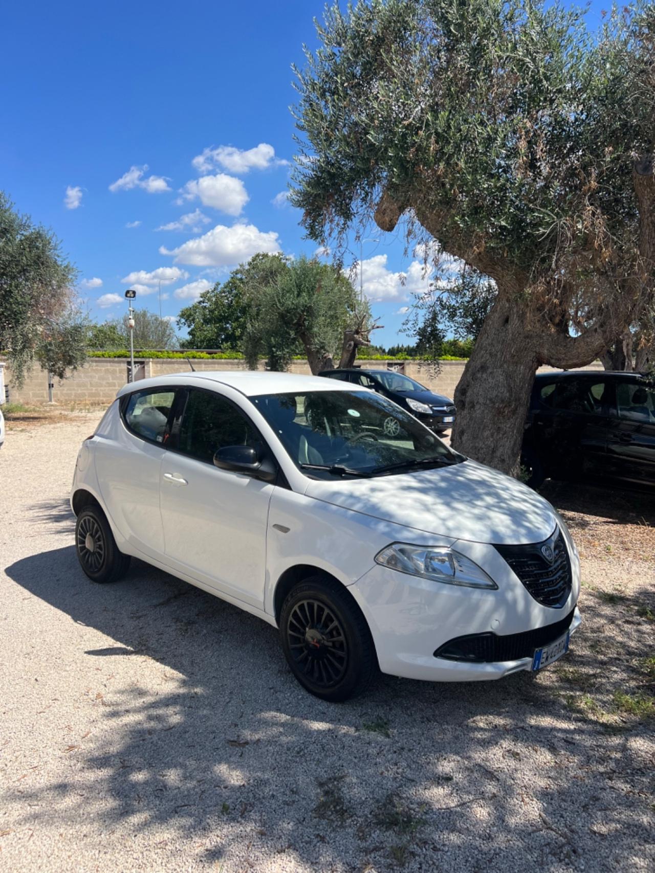 Lancia Ypsilon 0.9 TwinAir 85 CV 5 porte Metano Ecochic Elefantino