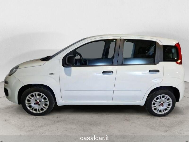 FIAT Panda Panda 1.2 Easy Van 4 posti FINO A 24 MESI DI GARANZIA PREZZO IVA ESCLUSA