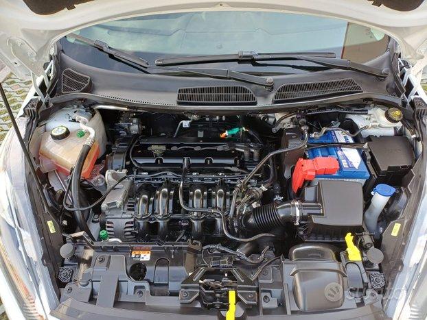 Ford Fiesta 1.2 Ikon 5 porte Business 60cv