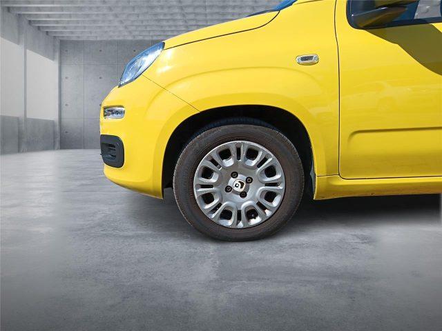 FIAT Panda 3ª serie 1.0 FireFly S&S Hybrid Pop