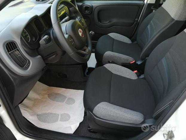 FIAT Panda 1.0 FireFly S&S Hybrid City Life 5 Po