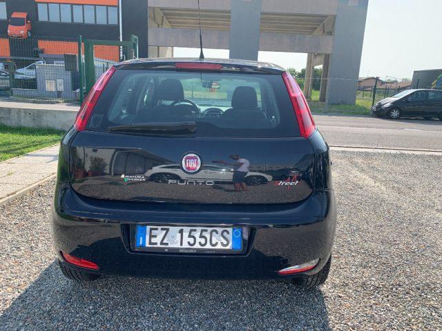 FIAT Punto 1.4 8V 5 porte Natural Power Street