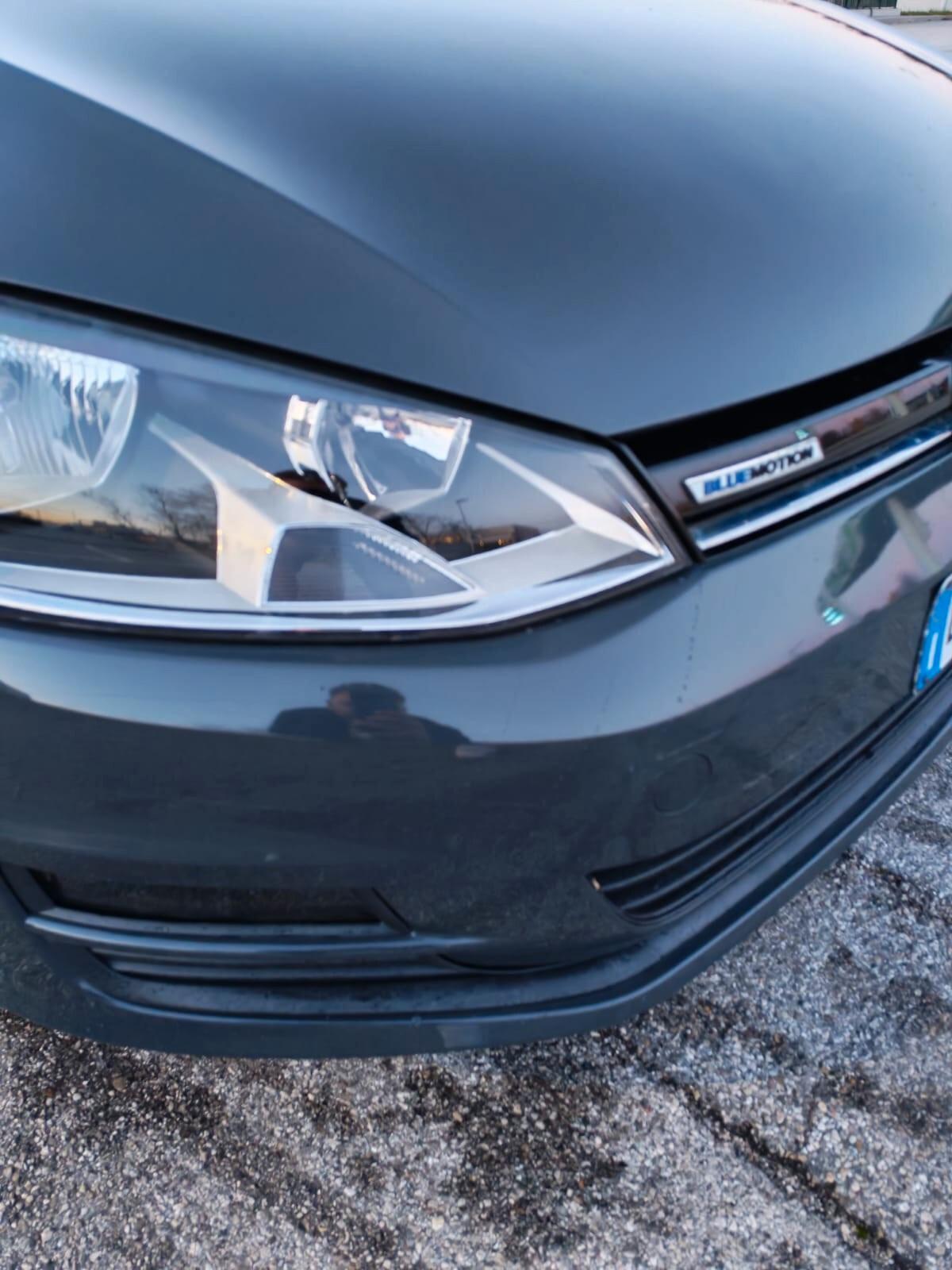 Volkswagen Golf 1.4 TGI 5p. Highline BlueMotion