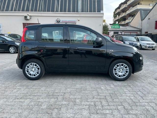Fiat Panda 1.0 FireFly S&S Hybrid Pandina Tech Km 13.000 PREZZO VERO!!!!