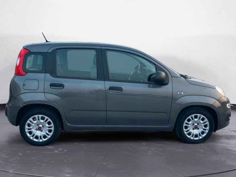 FIAT Panda 1.0 firefly hybrid City Life 70cv