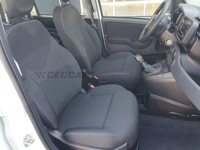 FIAT Panda Panda 1.0 firefly hybrid s&s 70cv