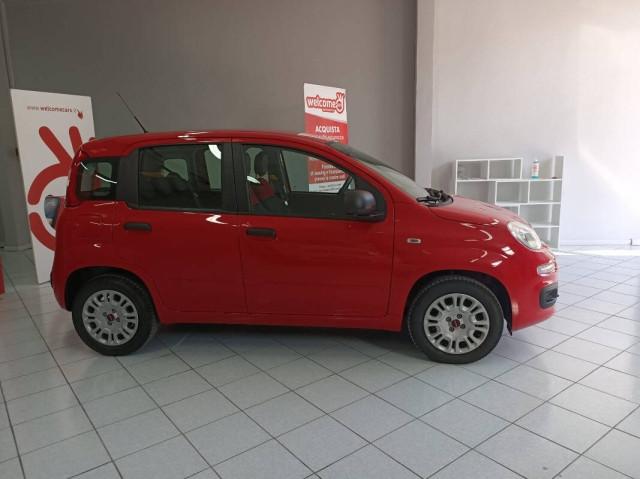 Fiat Panda 1.2 Connected by Wind s&s 69cv