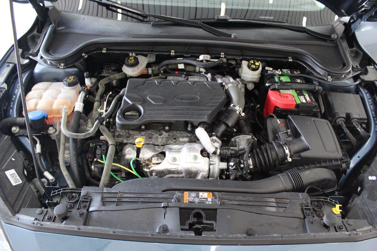 FORD - Focus Station Wagon - Focus 1.5 EcoBlue 120CV SW Business