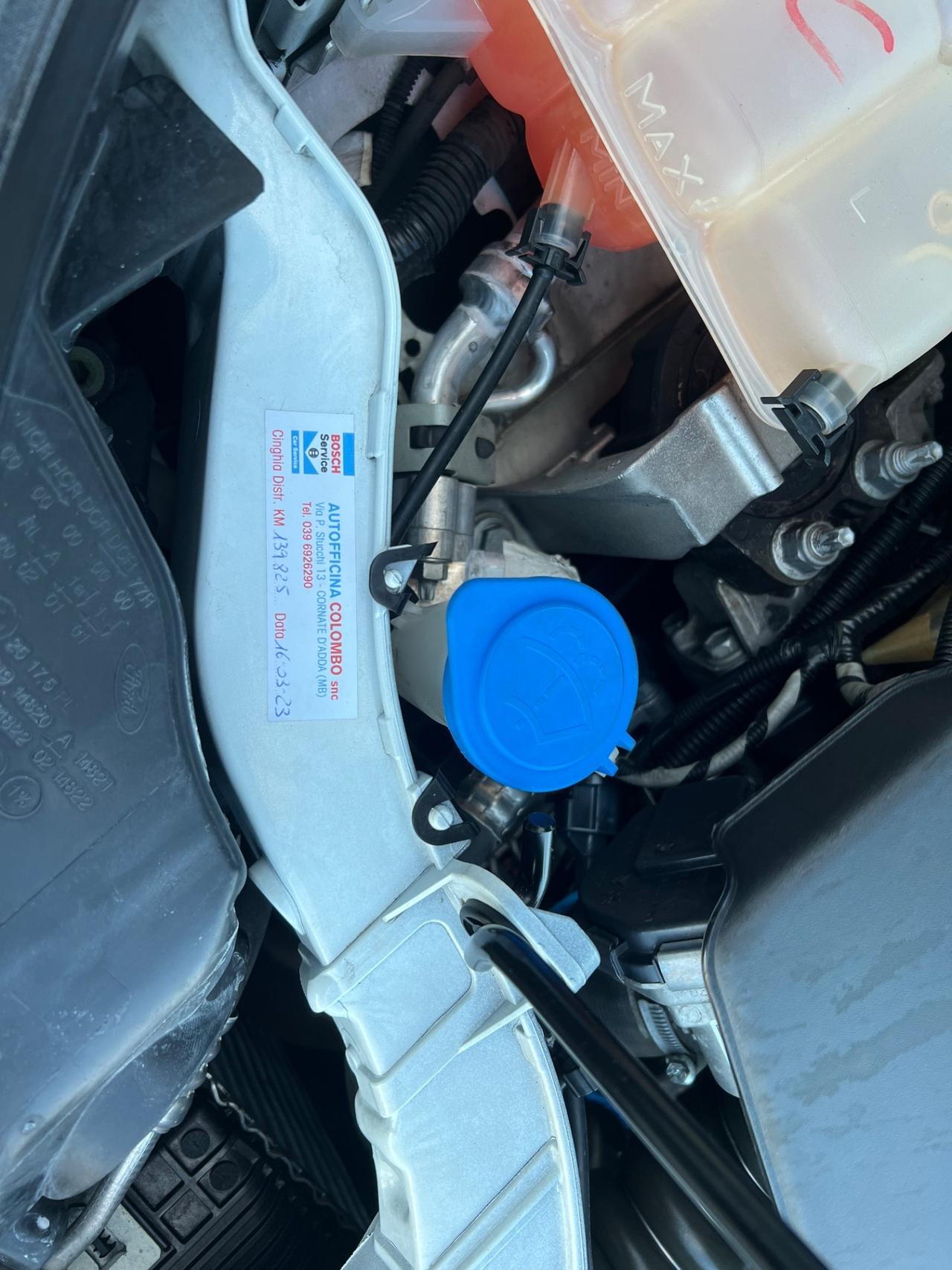 Ford Focus 1.6 TDCi 115 CV Titanium - 2013